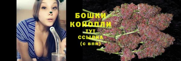 крисы Арсеньев