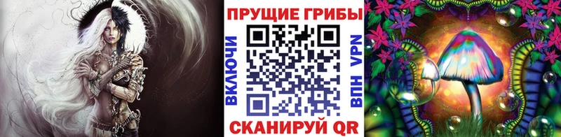 Галлюциногенные грибы Psilocybe  где продают наркотики  Балашов 